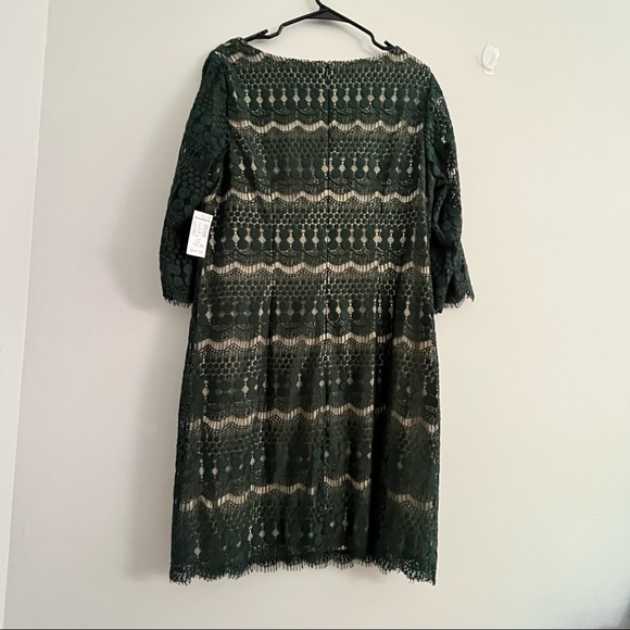 Dress Barn Green Lace Cocktail Dress Size 14W - Picture 7 of 13